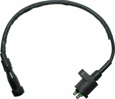 Ignition Coil - 150cc to 250cc, 2 Prong, GY6 10A2024
