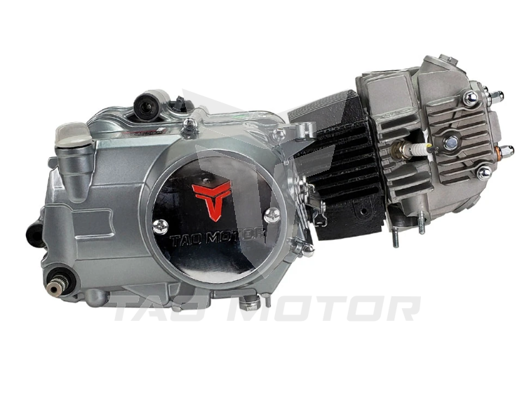 Engine - 125cc 4 Speed Kick Start Silver engine (DB27)