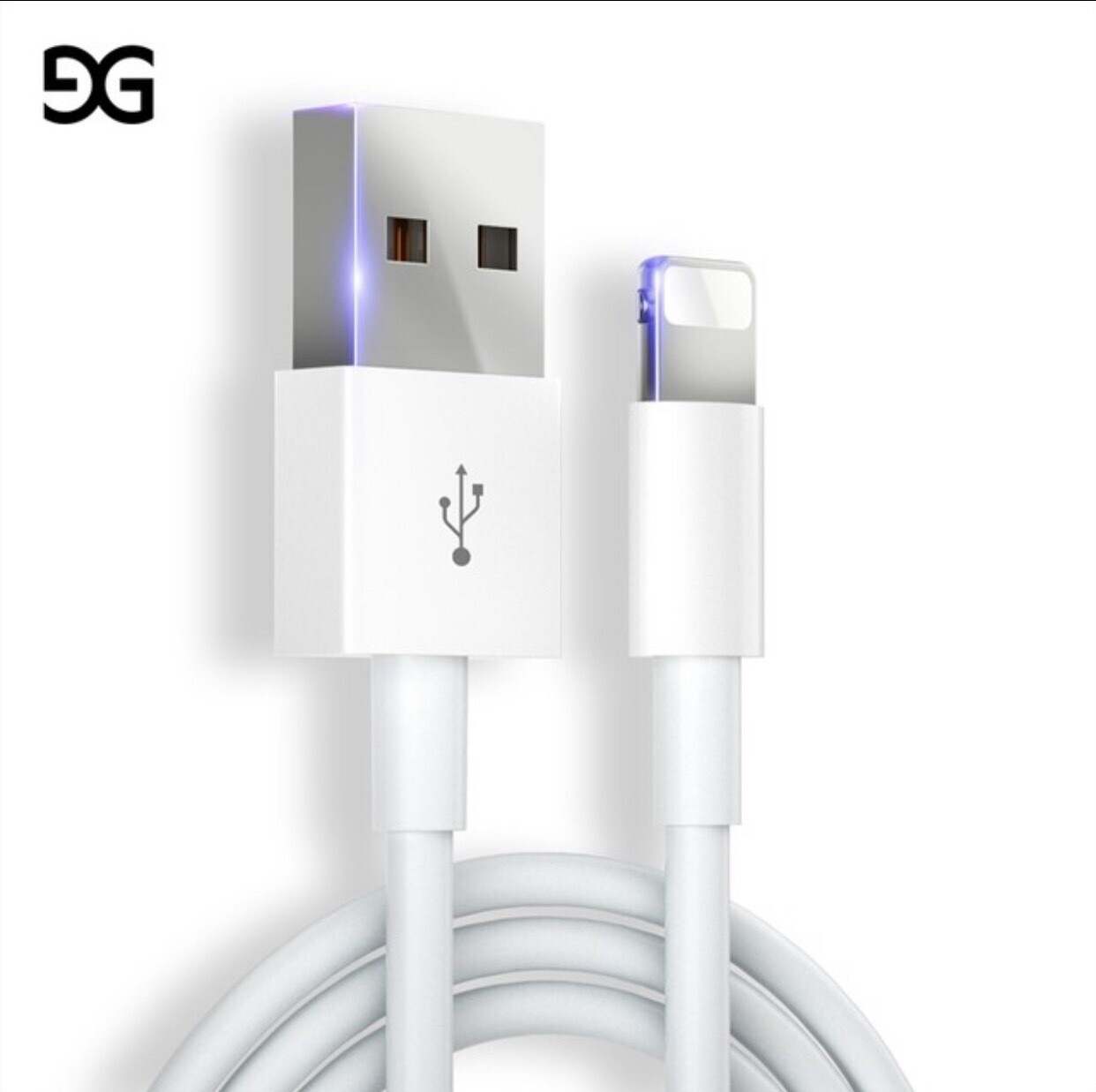 Apple Charger