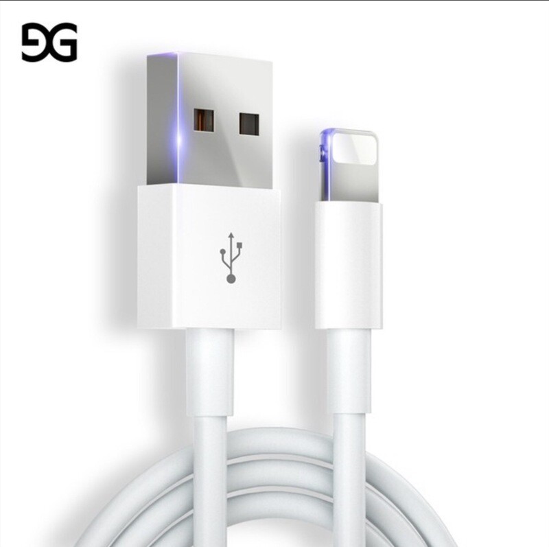 Apple Charger