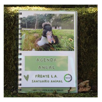 AGENDAS