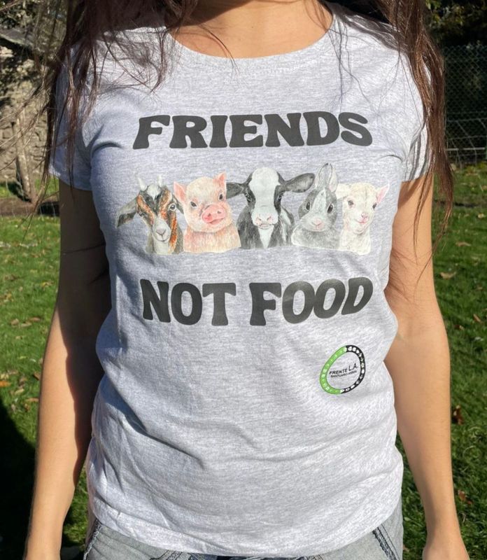 Camiseta Manga Corta Friends Not Food Talla XS Mujer Color Heather Grey