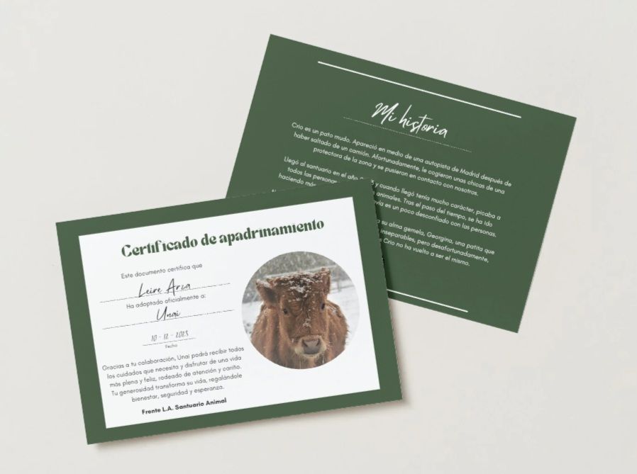 Regala un apadrinamiento anual