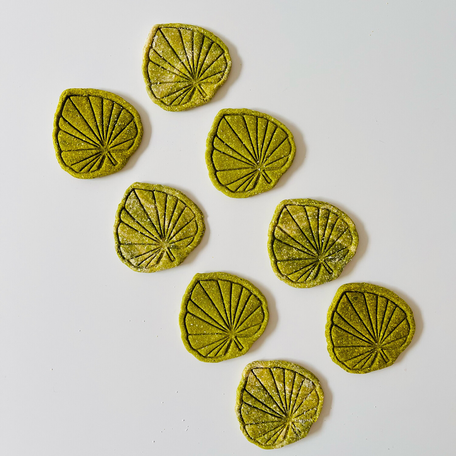 Fronds