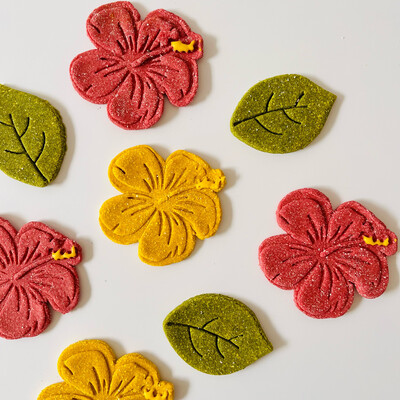 Hibiscus