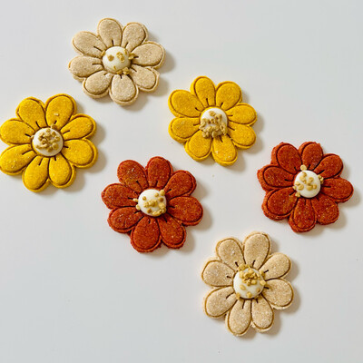 Dreamy Daisies