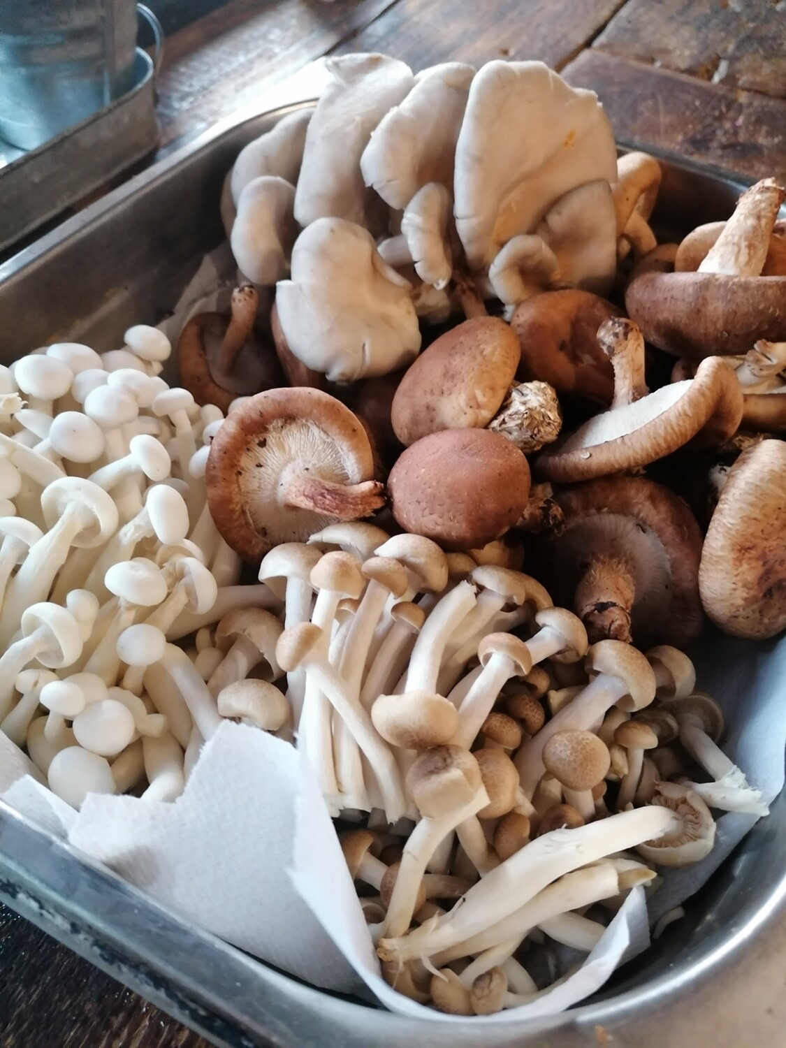 Wild Mushroom Pasta (MILK)