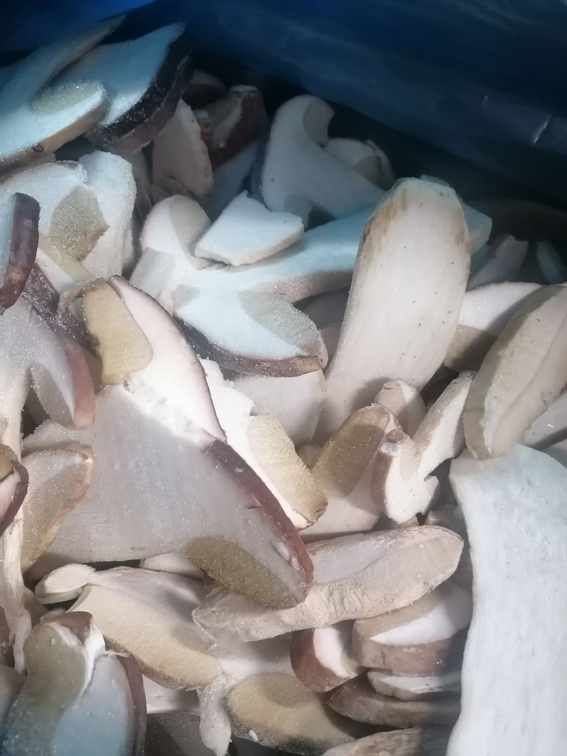 Creamy Porcini