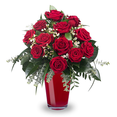 Amour Infini : Roses Rouges