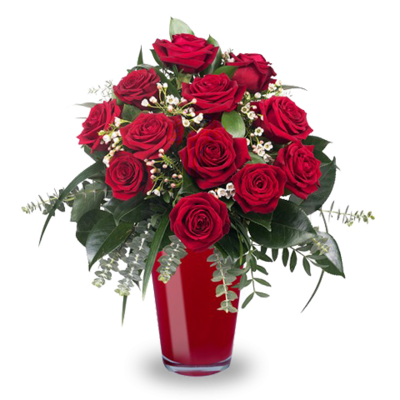 Amour Infini : Roses Rouges