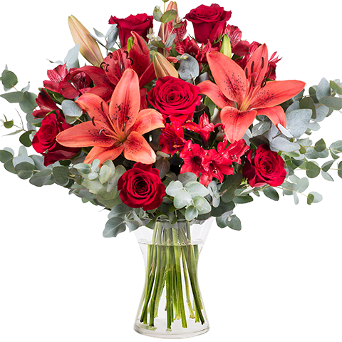 Velours : Lys et Roses Rouges