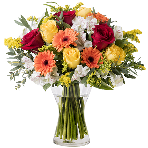 Énergie Florale : Mix de Fleurs Orange