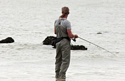 Pesca