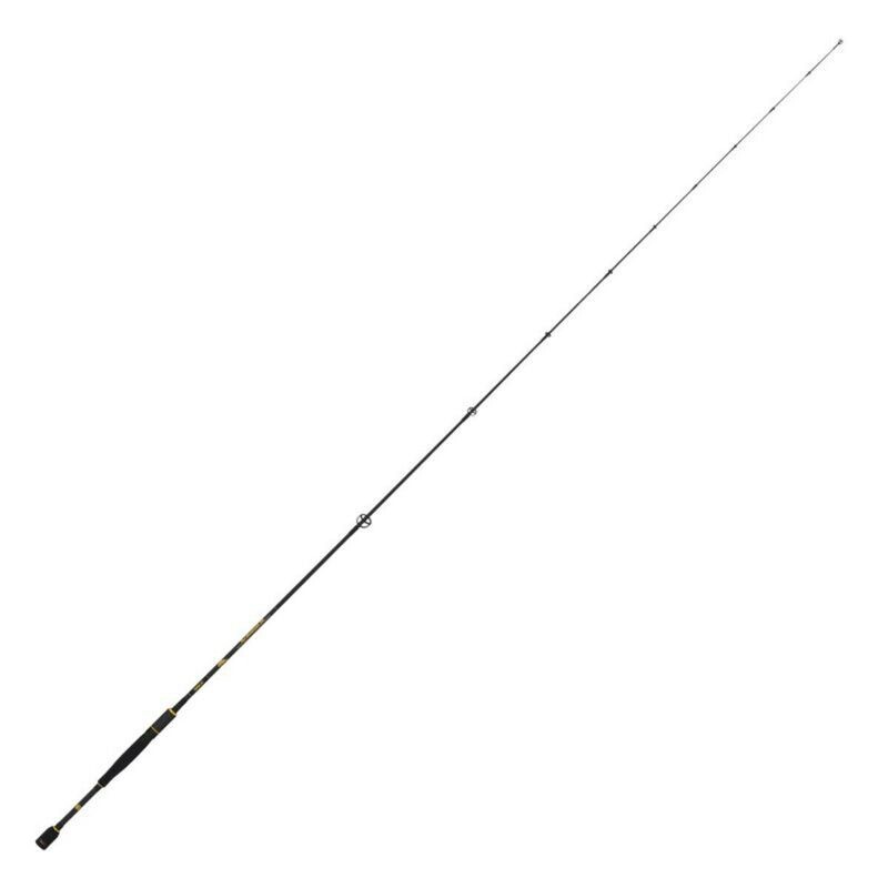 Seika R18 SW Seabass HB 6,7 Ft 3/8 - 1 Oz