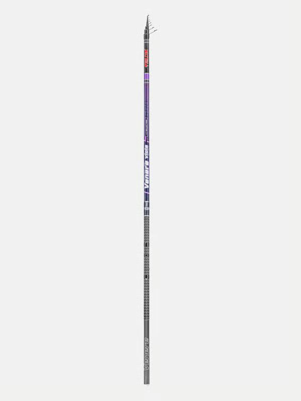 Falcon Venere Viola