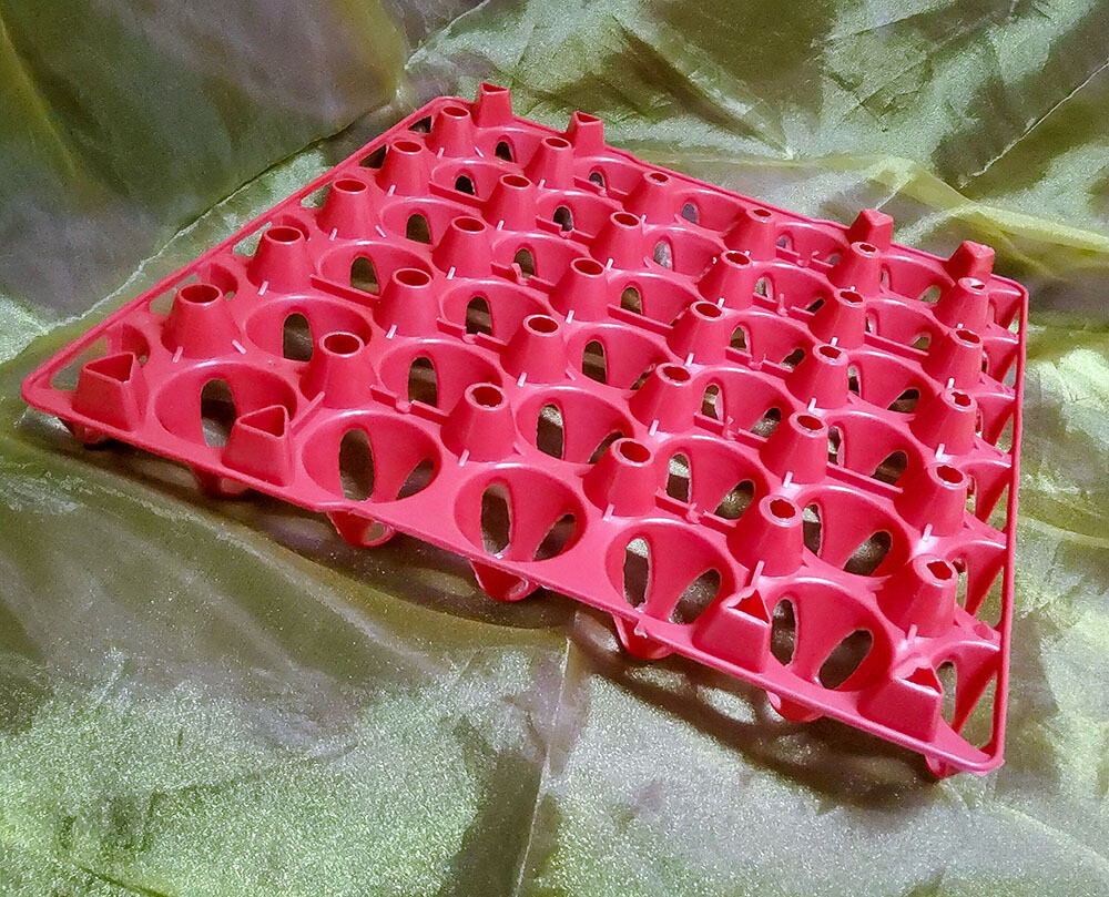 Amistad Heavy Duty Plastic Egg Tray Red