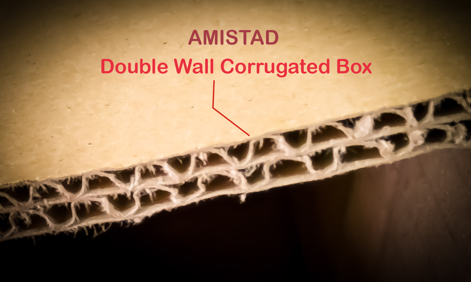 A0109 Double Wall Corrugated Box 53.5 cm x 41 cm x 29 cm