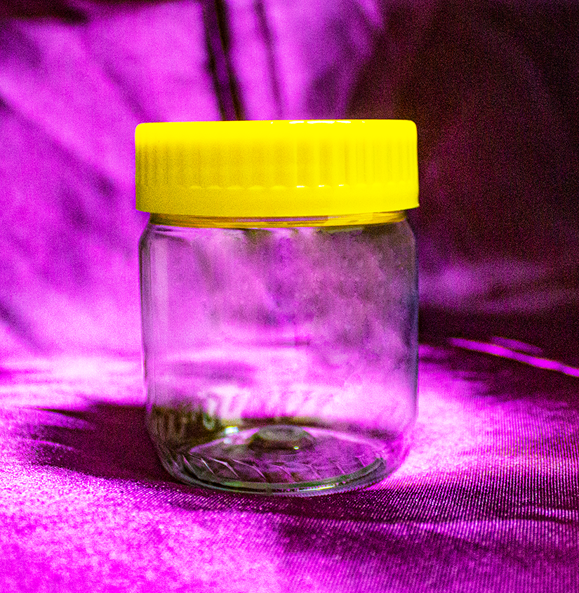 Peanut Butter PET Jar 170 grams with 56 mm Cap