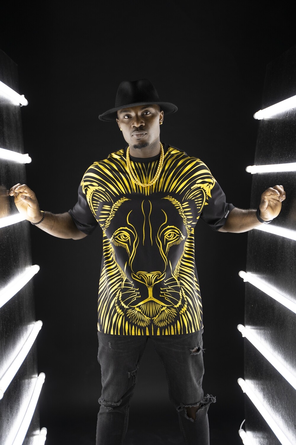 Men’s T-shirt, Lion Black & Gold