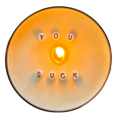 Just Another Fricken Candle Co. | Message in a Candle | You Suck