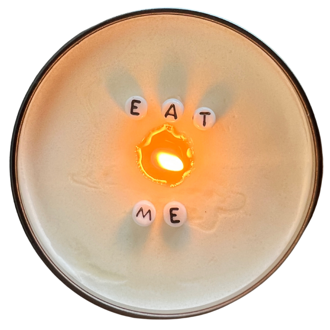 Just Another Fricken Candle Co. | Message in a Candle | Eat Me