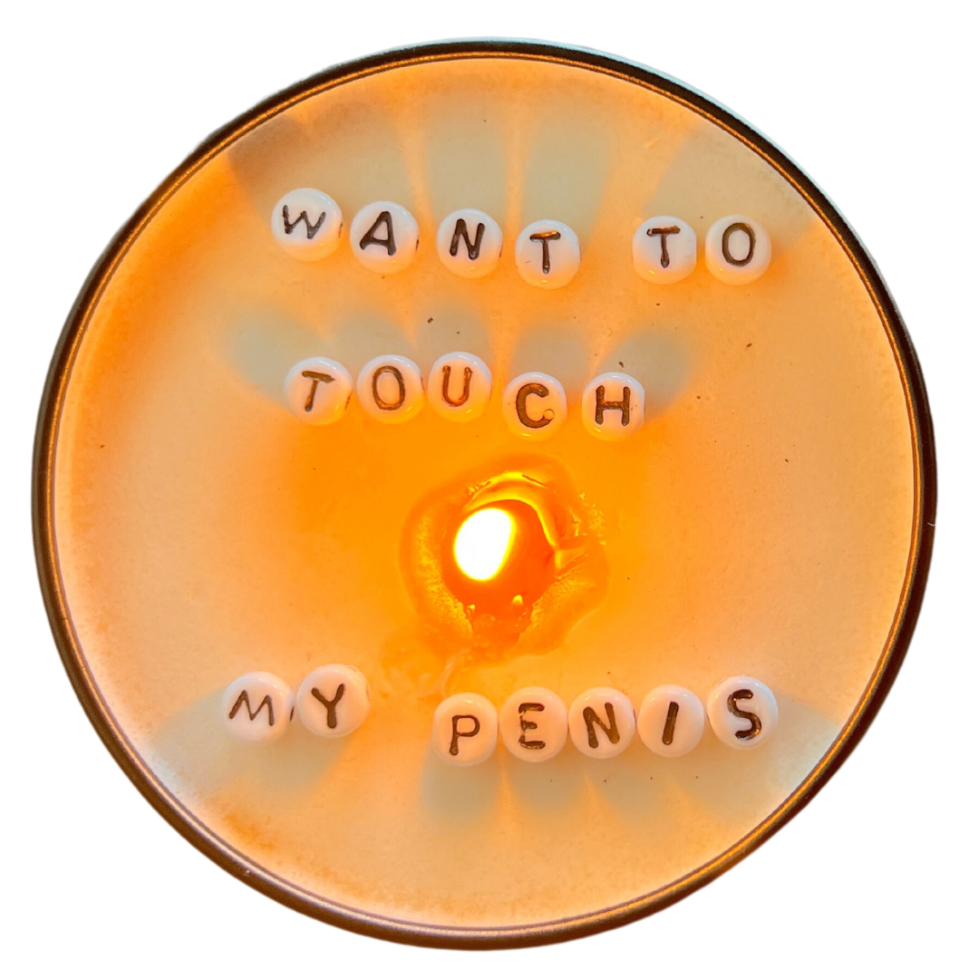 Just Another Fricken Candle Co. | Message in a Candle | Want To Touch My Penis