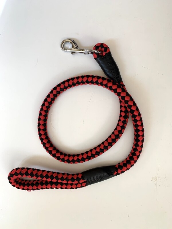 Thick Braided Leash