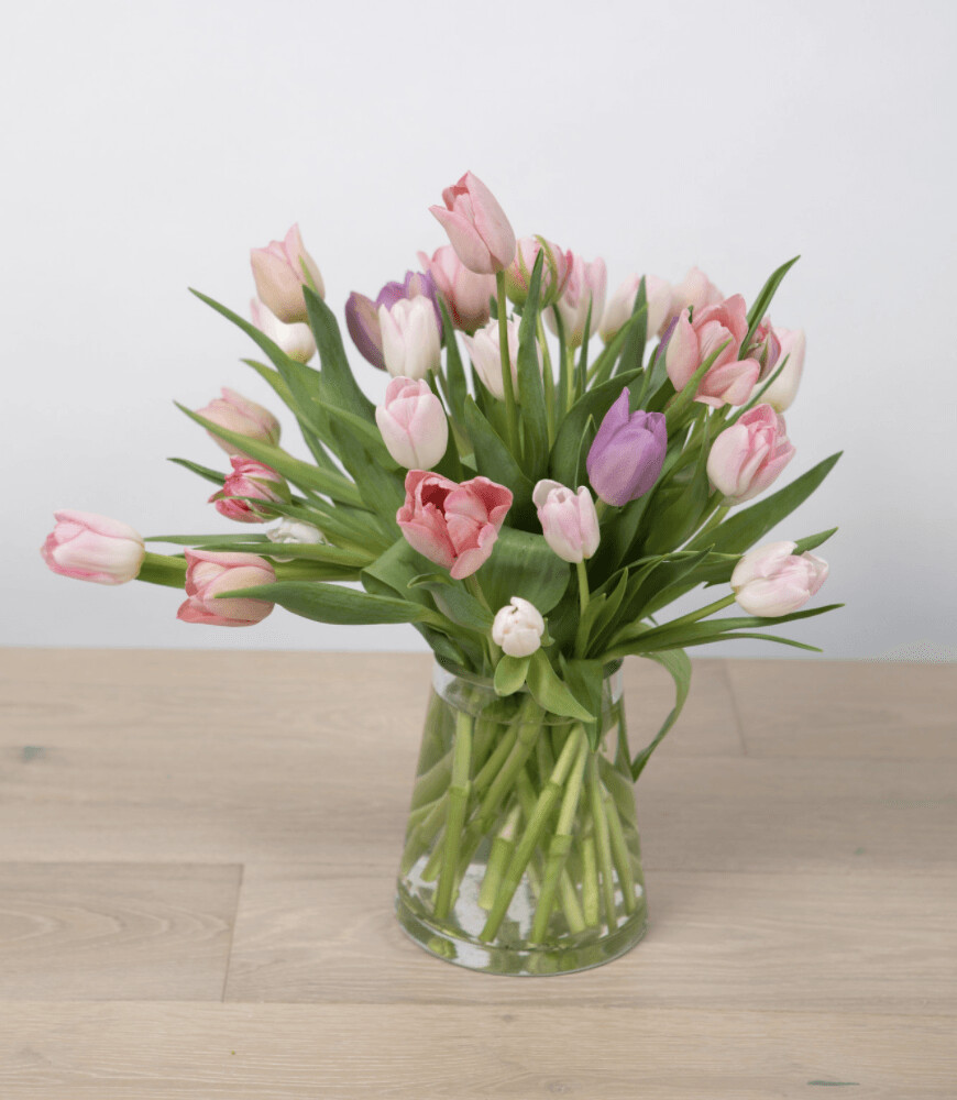 1 DOZEN TULIP ARRANGEMENT