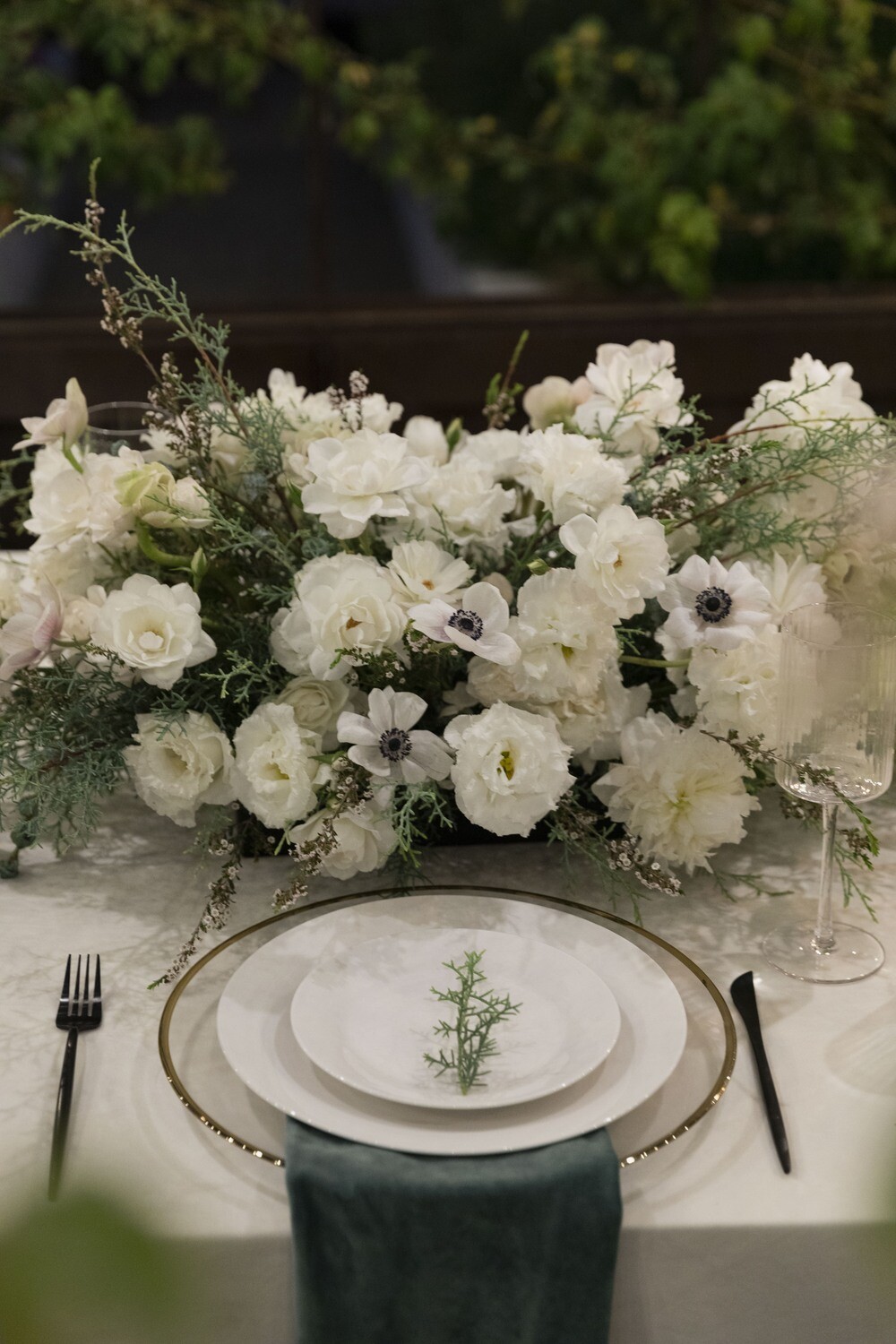 CARUSO'S RESERVATION - WHITE GARDEN