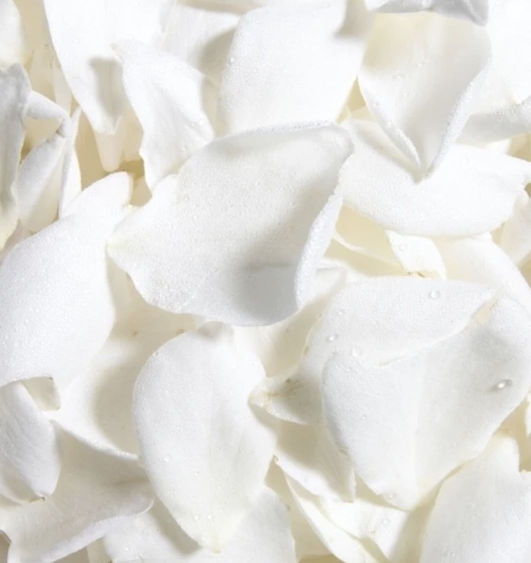 Rose Petals