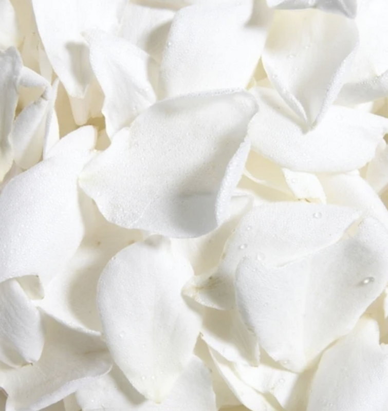 Rose Petals