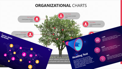 C.C. y Marketing