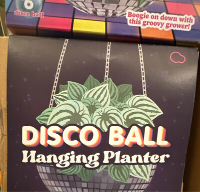 Disco Ball Planter 6 Inch