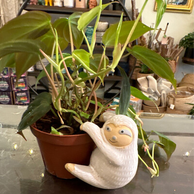Sloth Planter Buddy
