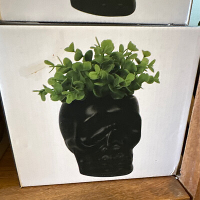 Black Skull Planter (fits 3 Inch Plant)