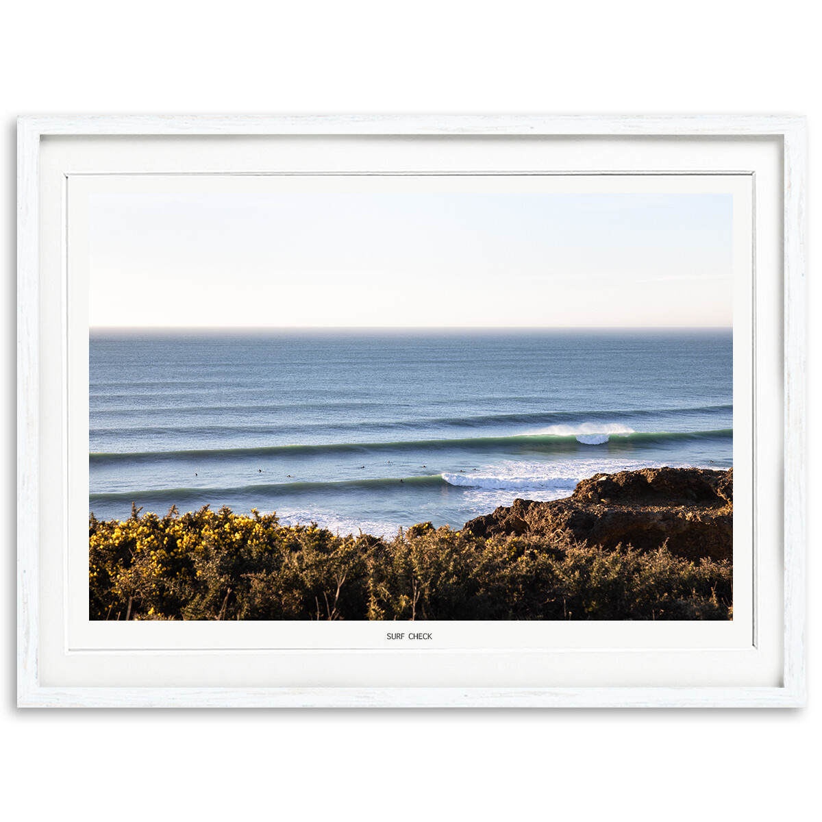 Surf Check Surf Check