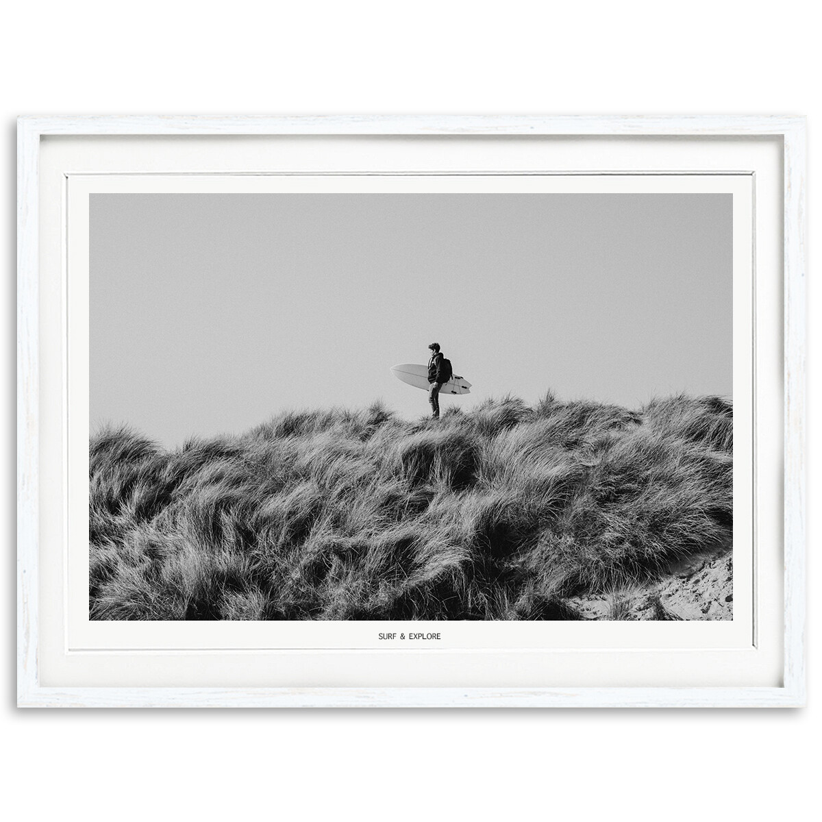 Surf & Explore Surf & Explore