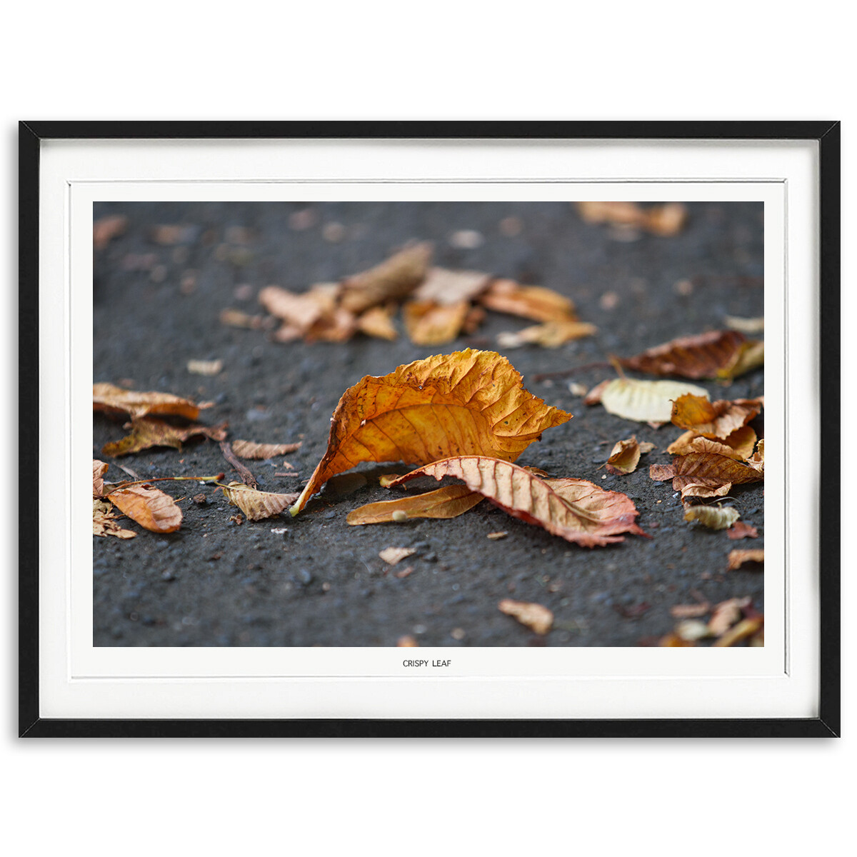 Crispy Leaf Crispy Leaf