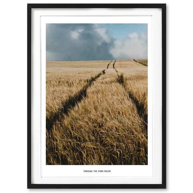 Through the Corn Fields