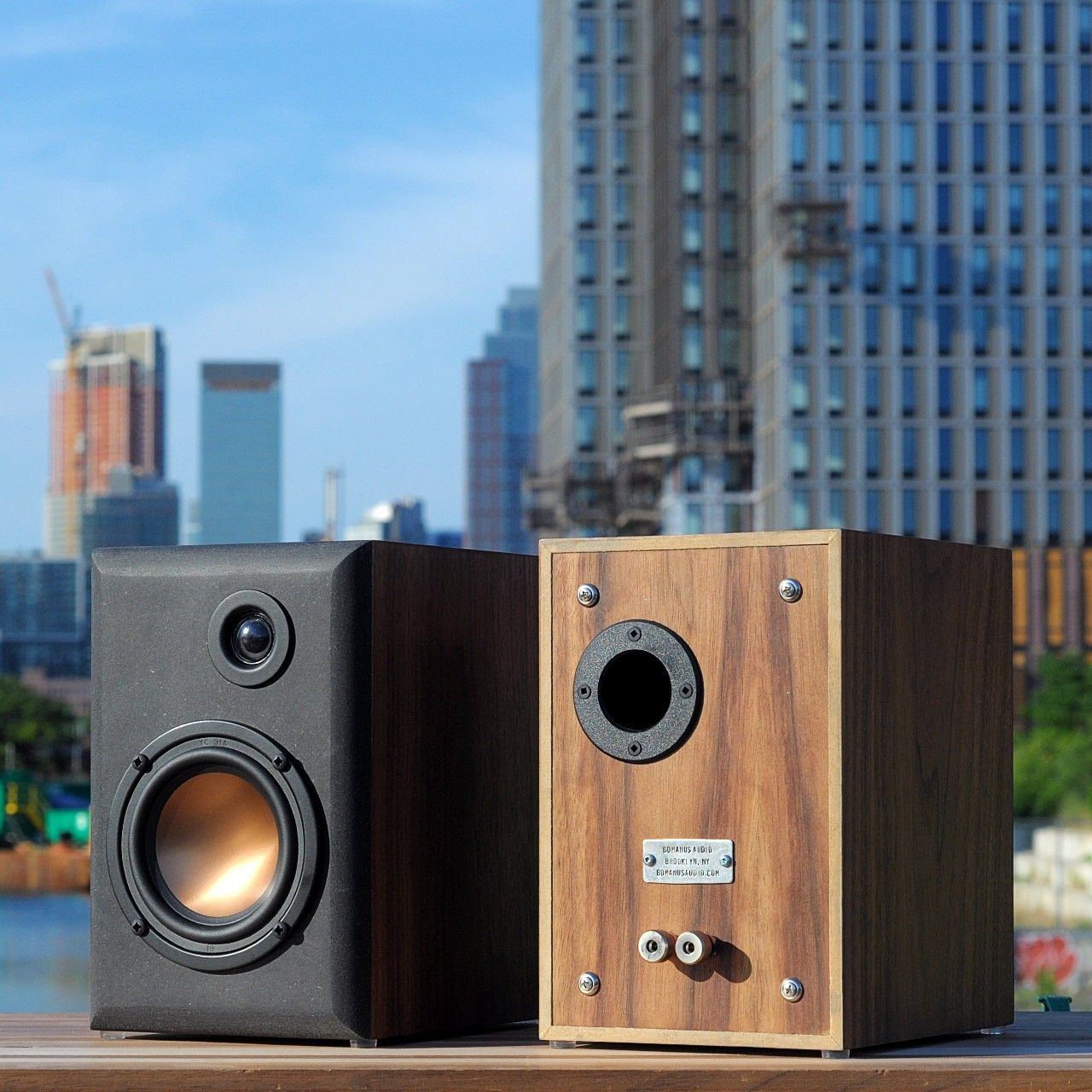 Build Your Own Speakers