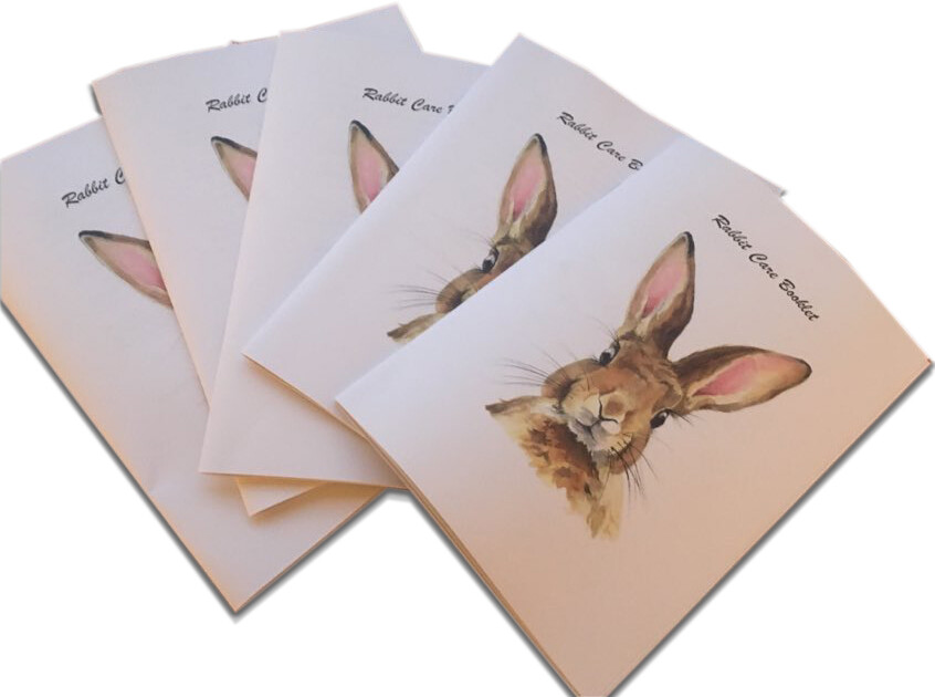 Rabbit Care Book (Electronic - PDF &amp; Flip Book Link)