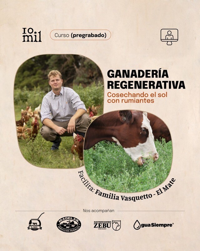 Curso: Ganadería Regenerativa – “Cosechando el sol con rumiantes”