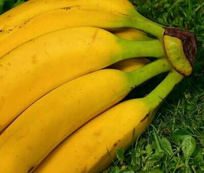 Plátano maduro (UD.)