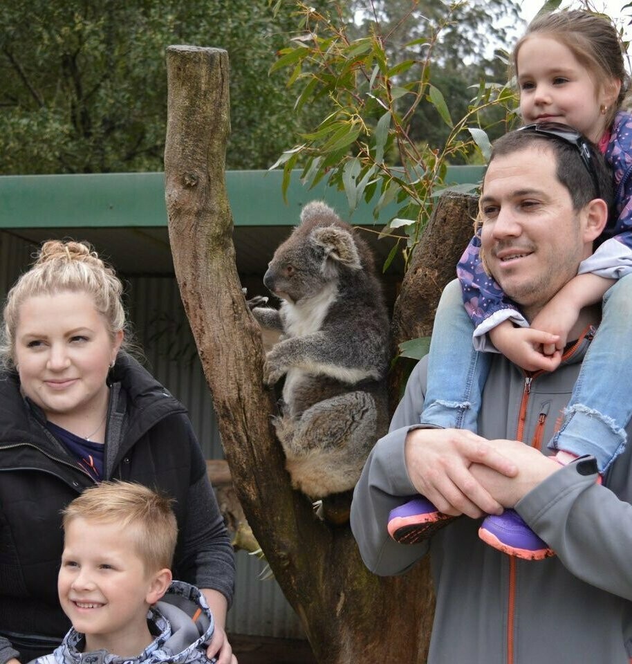 Koalas - (Animal Encounters)