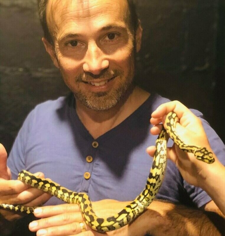 Reptiles - (Animal Encounters)