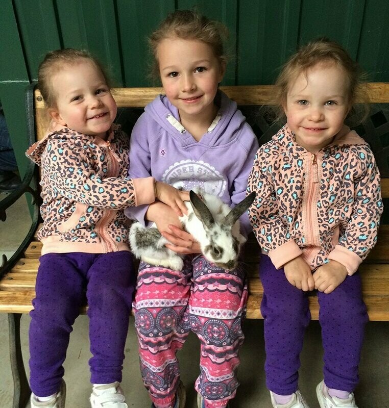 Baby Animals - (Animal Encounters)