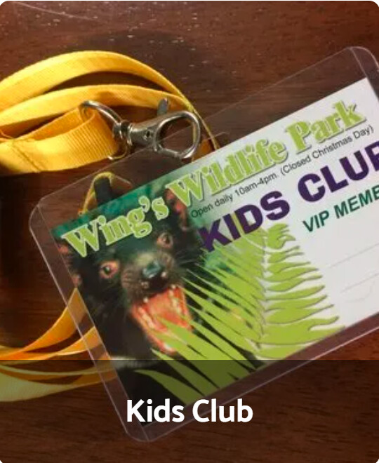 Kids Club