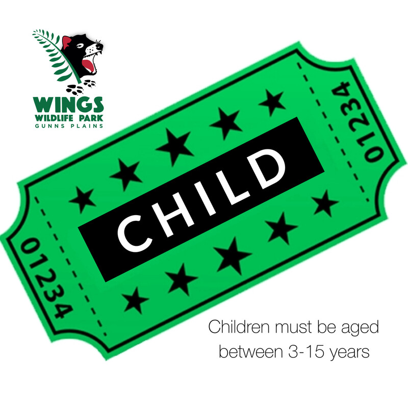 Child (3-15 YEARS)