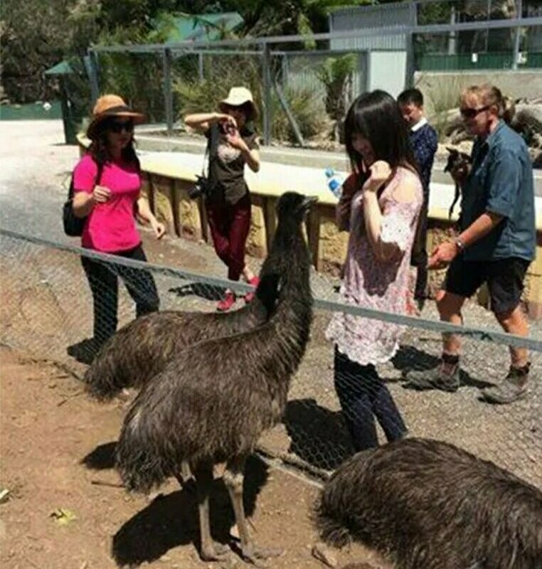 Personalised Guided Tour