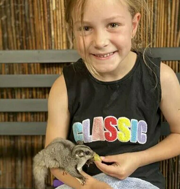 Sugar Glider Encounter - (Animal Encounters)